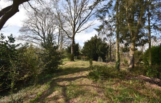 Plot for sale in Colchester photo